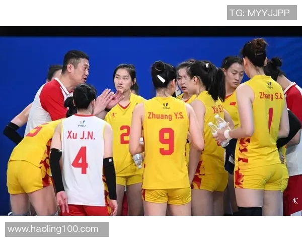 排球盛宴：深入解析成都排球队的战术与技术魅力